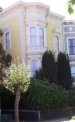 Grove-bet-Webster-Fillmore-yellow-IT.jpg