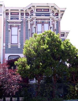 Guerrero-and-Duboce-blue-pink-white-IT-top.jpg
