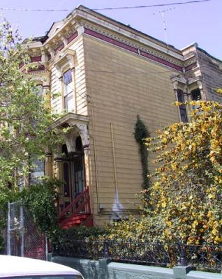 Hayes-bet-Buchanan-Webster-yellow-and-red-and-yellow-IT-tree.jpg