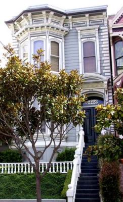 Pacific-bet-Buchanan-Webster-grey-IT.jpg