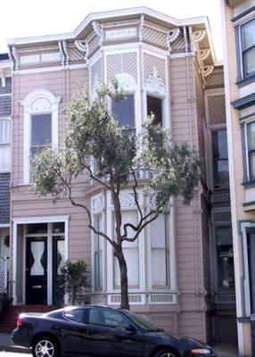 Pine-bet-Fillmore-Webster-tan-white-unusual-gingerbread-IT.jpg