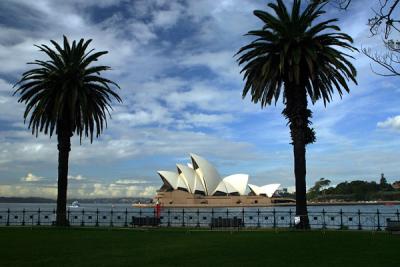 Opera House with 2 palms