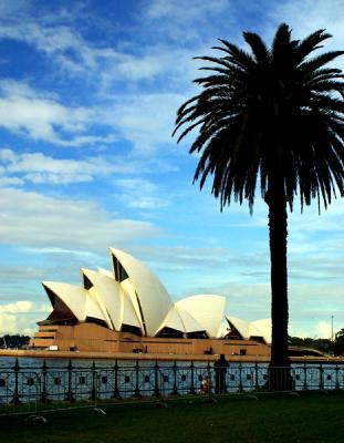 Sydney Opera House with palm