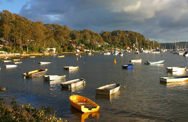 Morning at Careel bay