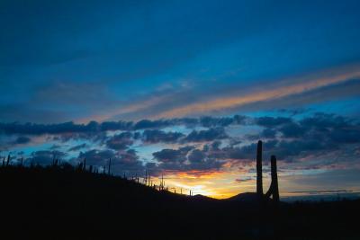 Arizona Sunrise: Randall Ingalls