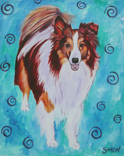 Sheltie.jpg