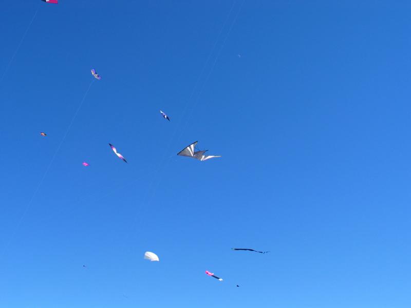 IMG_6949.jpg