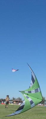 IMG_6867.jpg