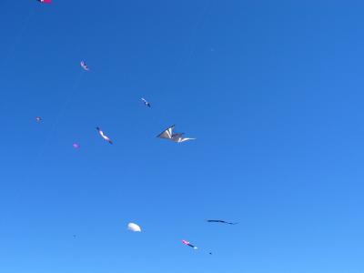 IMG_6949.jpg