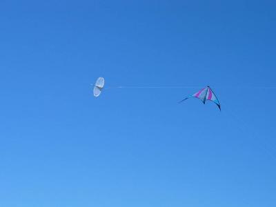 IMG_6960.jpg