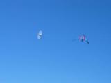 IMG_6960.jpg