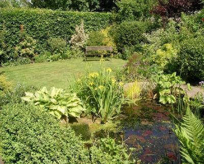 Pond  garden