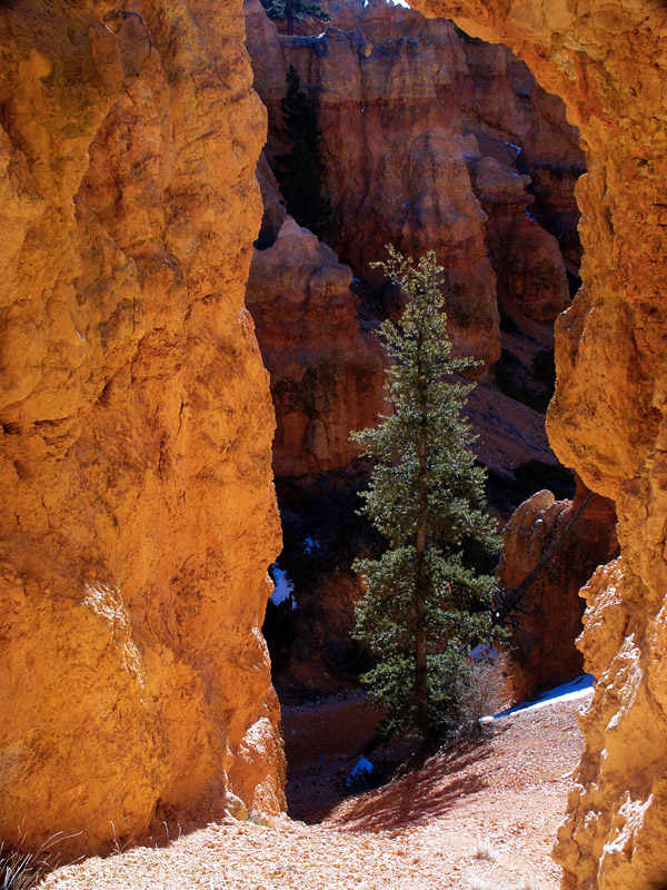 betweenarockand hardplace.jpg