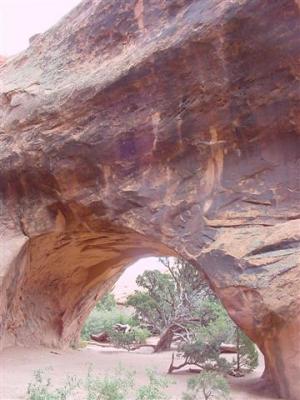Arches Navajo Arch 03 (Small).JPG