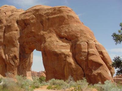 Arches Pine Arch (Small).JPG