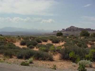 Arches Salt Valley 03 (Small).JPG