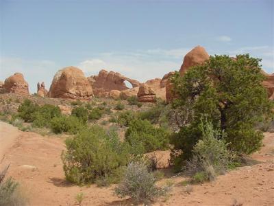 Arches Skyline Arch 01 (Small).JPG