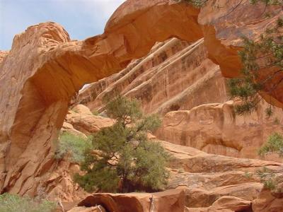 Arches Wall Arch (Small).JPG