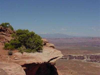 Canyonlands Island in the Sky12 (Small).JPG