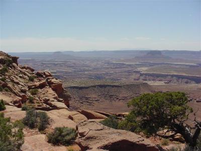 Canyonlands Island in the Sky19 (Small).JPG