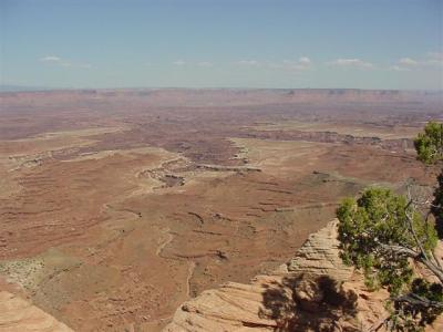 Canyonlands Island in the Sky35 (Small).JPG