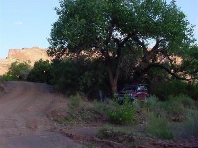 Canyonlands White Rim Road02 (Small).JPG