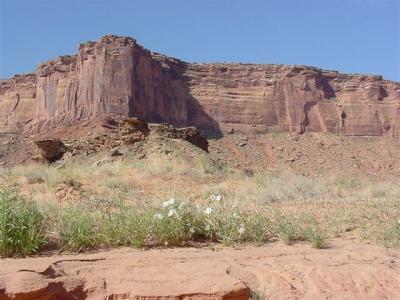 Canyonlands White Rim Road11 (Small).JPG