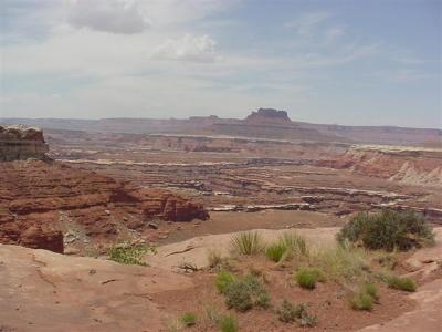 Canyonlands White Rim Road50 (Small).JPG