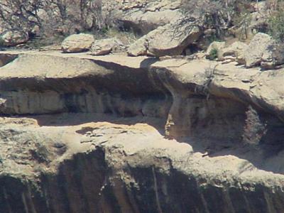 Mesa Verde New Fire House 04 (Small).JPG