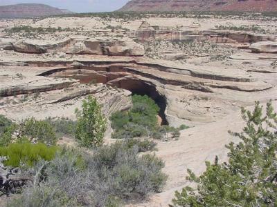 Natural  Bridges Kachina Bridge 01 (Small).JPG