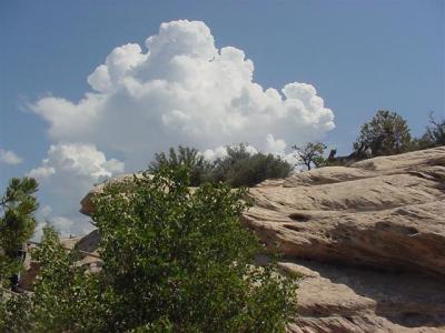 Natural  Bridges Kachina Bridge 05 (Small).JPG