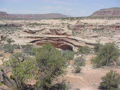 Natural  Bridges Owachomo Bridge 01 (Small).JPG