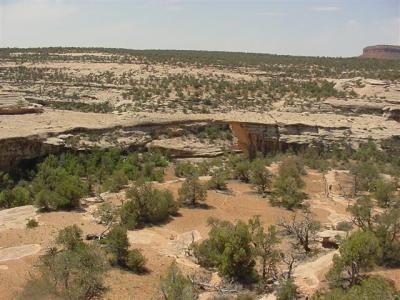 Natural  Bridges Owachomo Bridge 03 (Small).JPG