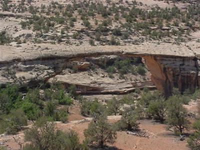 Natural  Bridges Owachomo Bridge 04 (Small).JPG