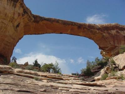 Natural  Bridges Owachomo Bridge 11 (Small).JPG