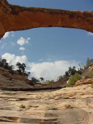 Natural  Bridges Owachomo Bridge 15 (Small).JPG