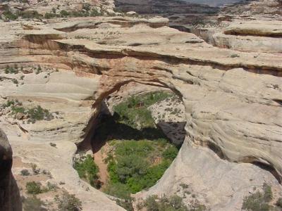 Natural  Bridges Sipapu Bridge 06 (Small).JPG