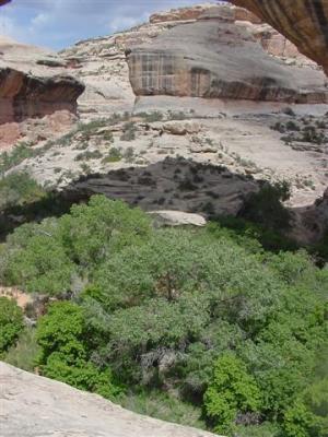 Natural  Bridges Sipapu Bridge 10 (Small).JPG
