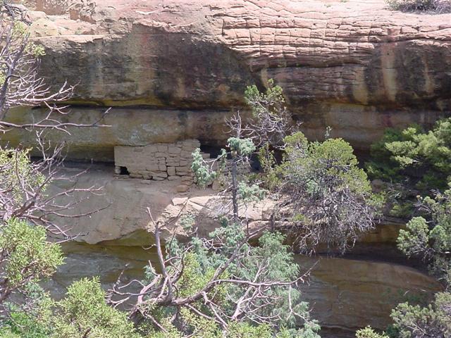 Mesa Verde Spruce Tree House 05 (Small).JPG
