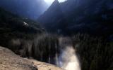 nevada trees in mist.jpg