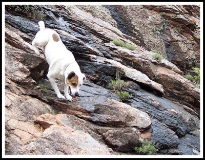 Rocky Descent