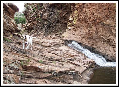The Lost Waterhole