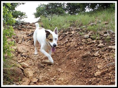 Down the Rocky Road
