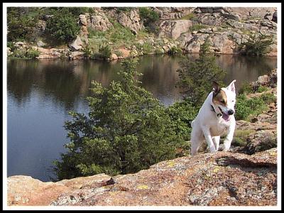 Griffy Hikes Charon Gardens