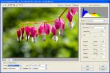 ProPhoto Export Histogram