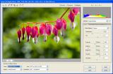 sRGB Export Histogram