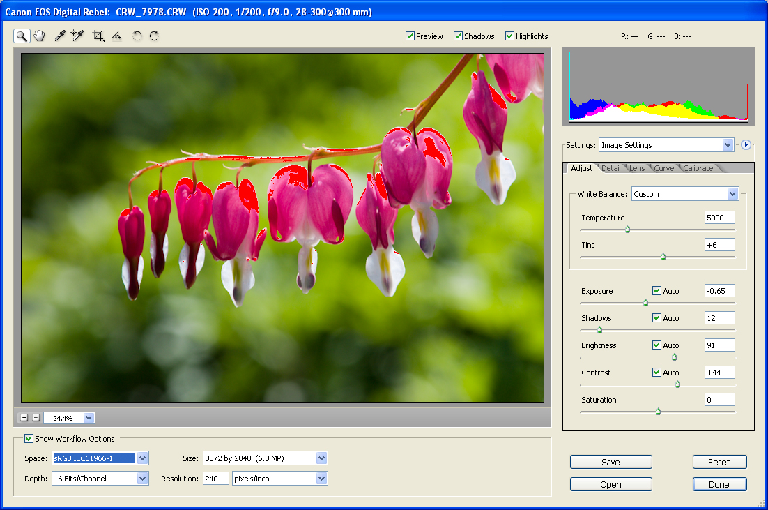 sRGB Export Histogram