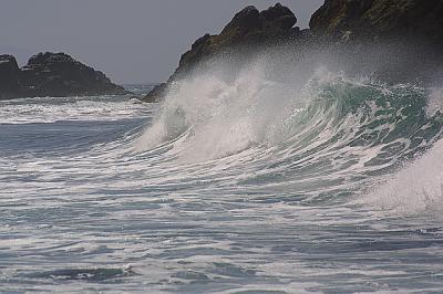 IMG_7518.jpg