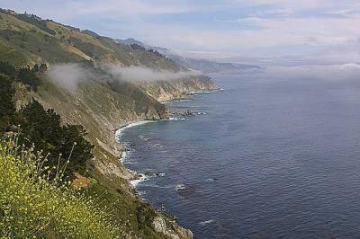 IMG_7924.jpg