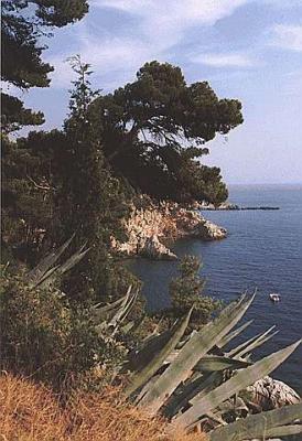Adriatic coast near Dubrovnik